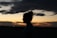 silhouette of woman standing during sunset