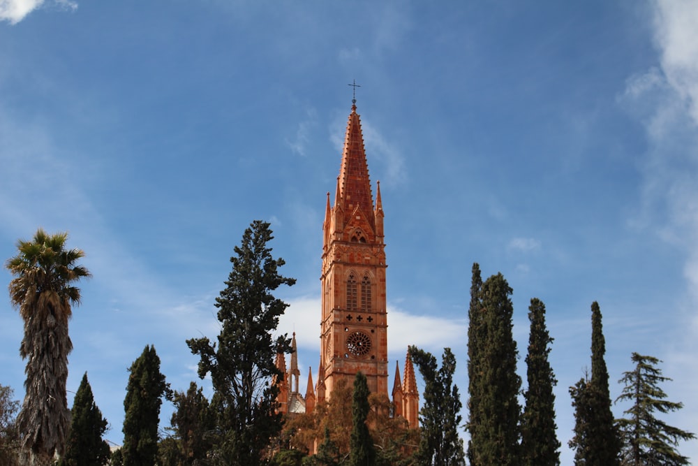 brown concrete building near green trees under blue sky during daytime