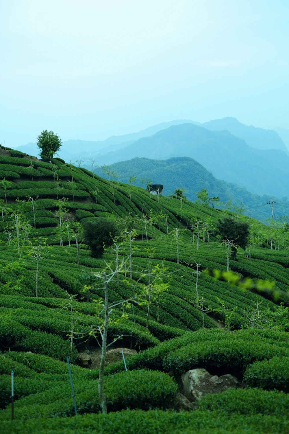 green grass field near mountain during daytime