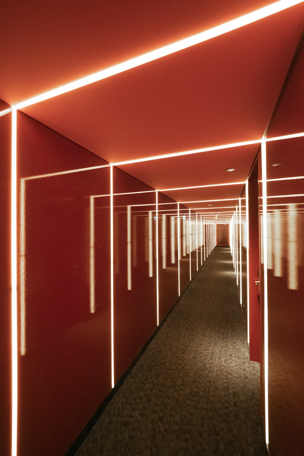 red and blue lighted room