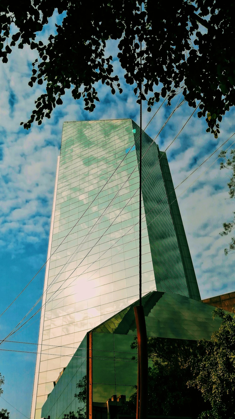 white and blue glass building