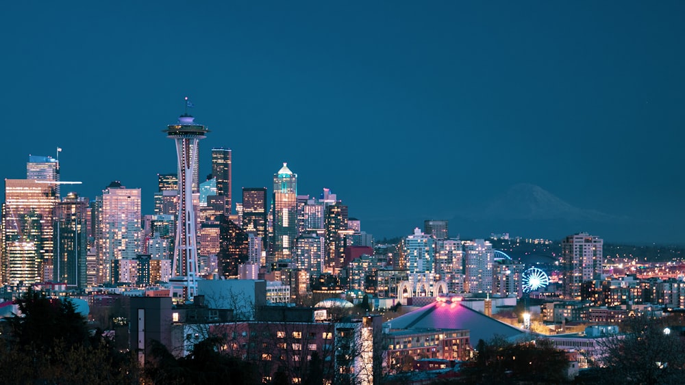 city skyline during night time