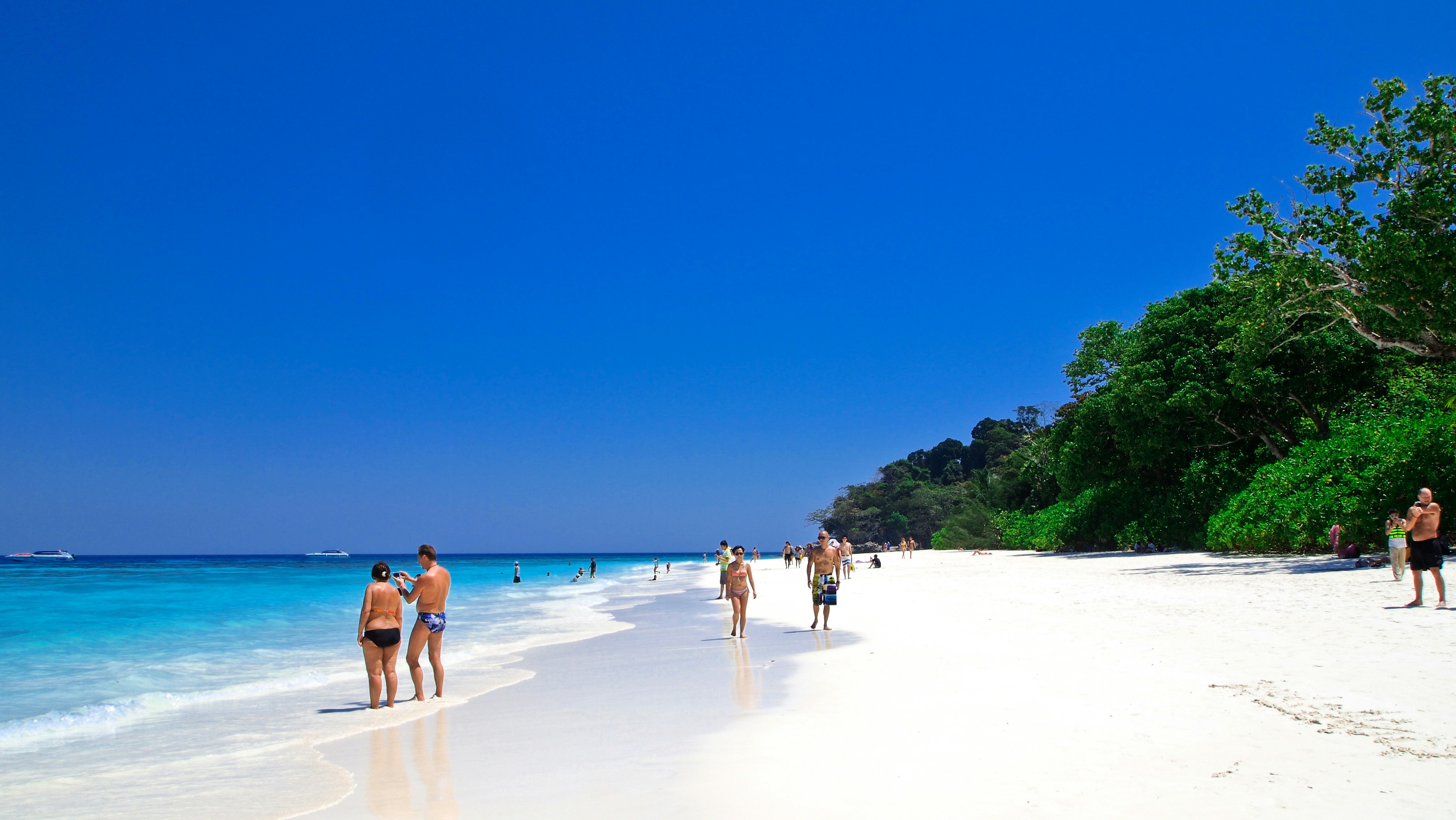 people on beach during daytime