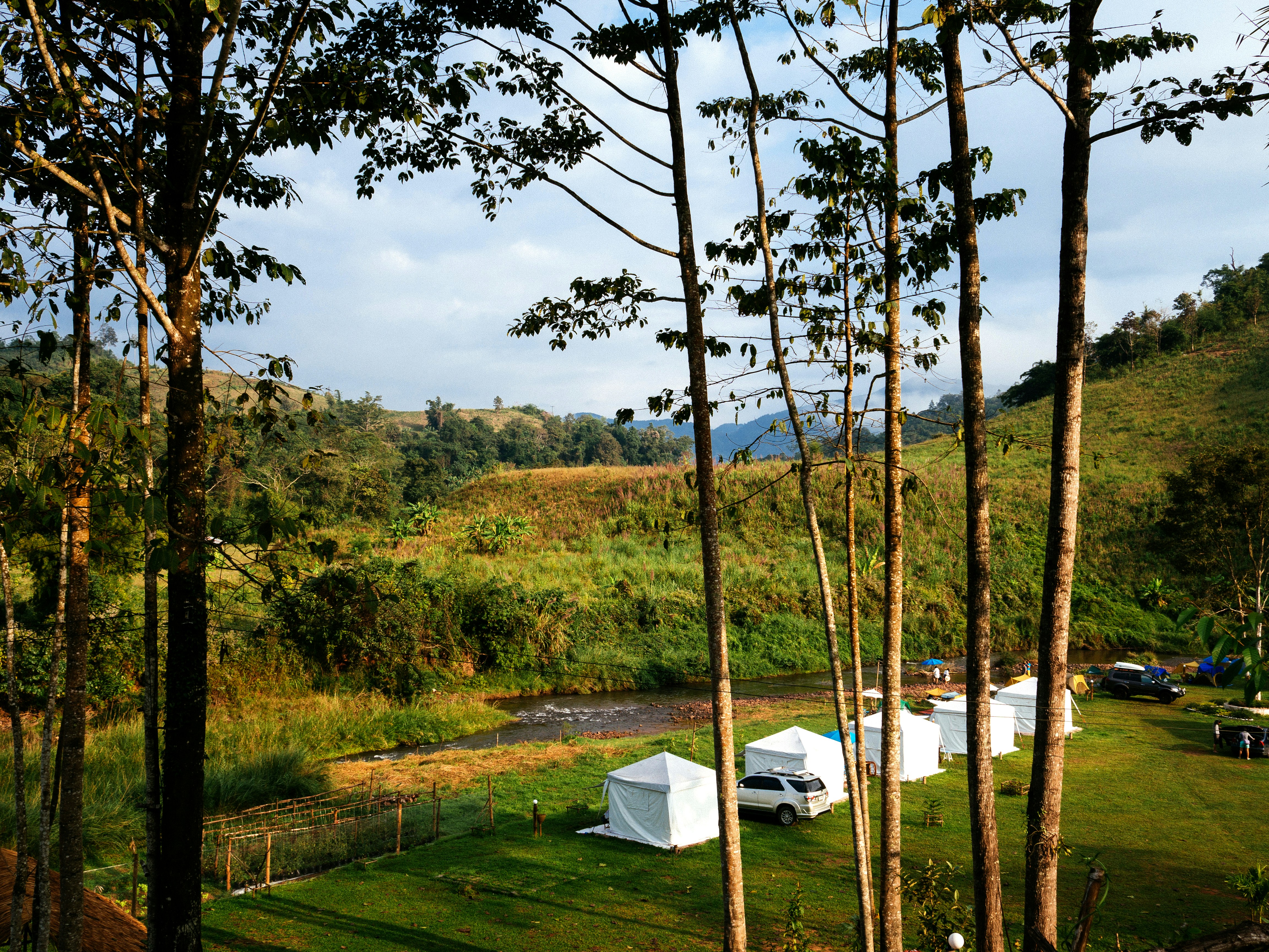 Weißes Zelt auf grünem Grasfeld in der Nähe von grünen Bäumen unter weißen Wolken und blauem Himmel während