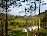 white tent on green grass field near green trees under white clouds and blue sky during