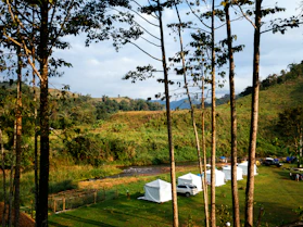 white tent on green grass field near green trees under white clouds and blue sky during