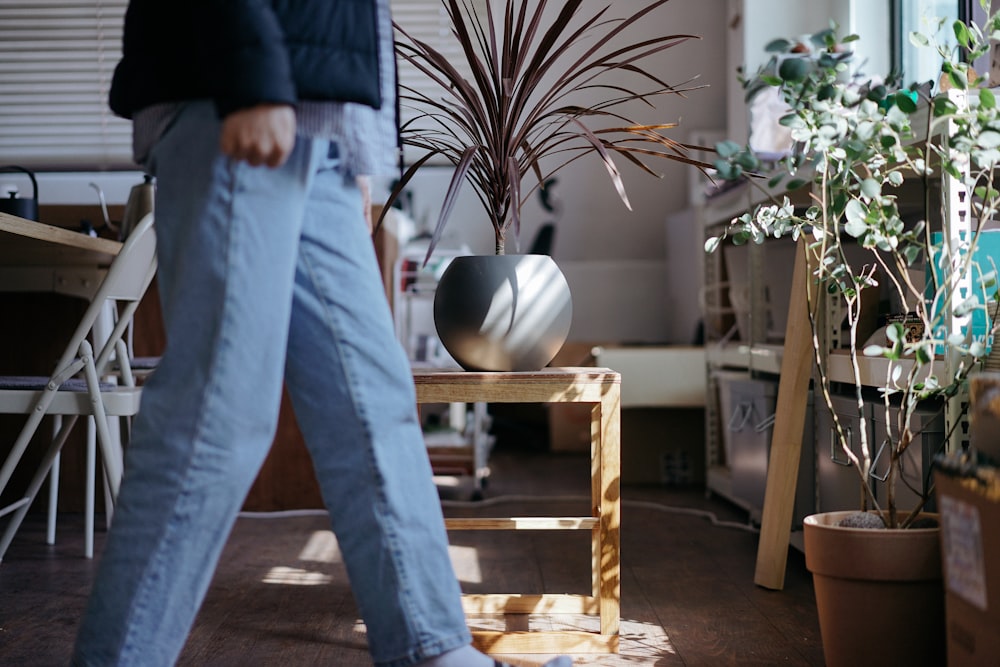 person in blue denim jeans standing beside green plant