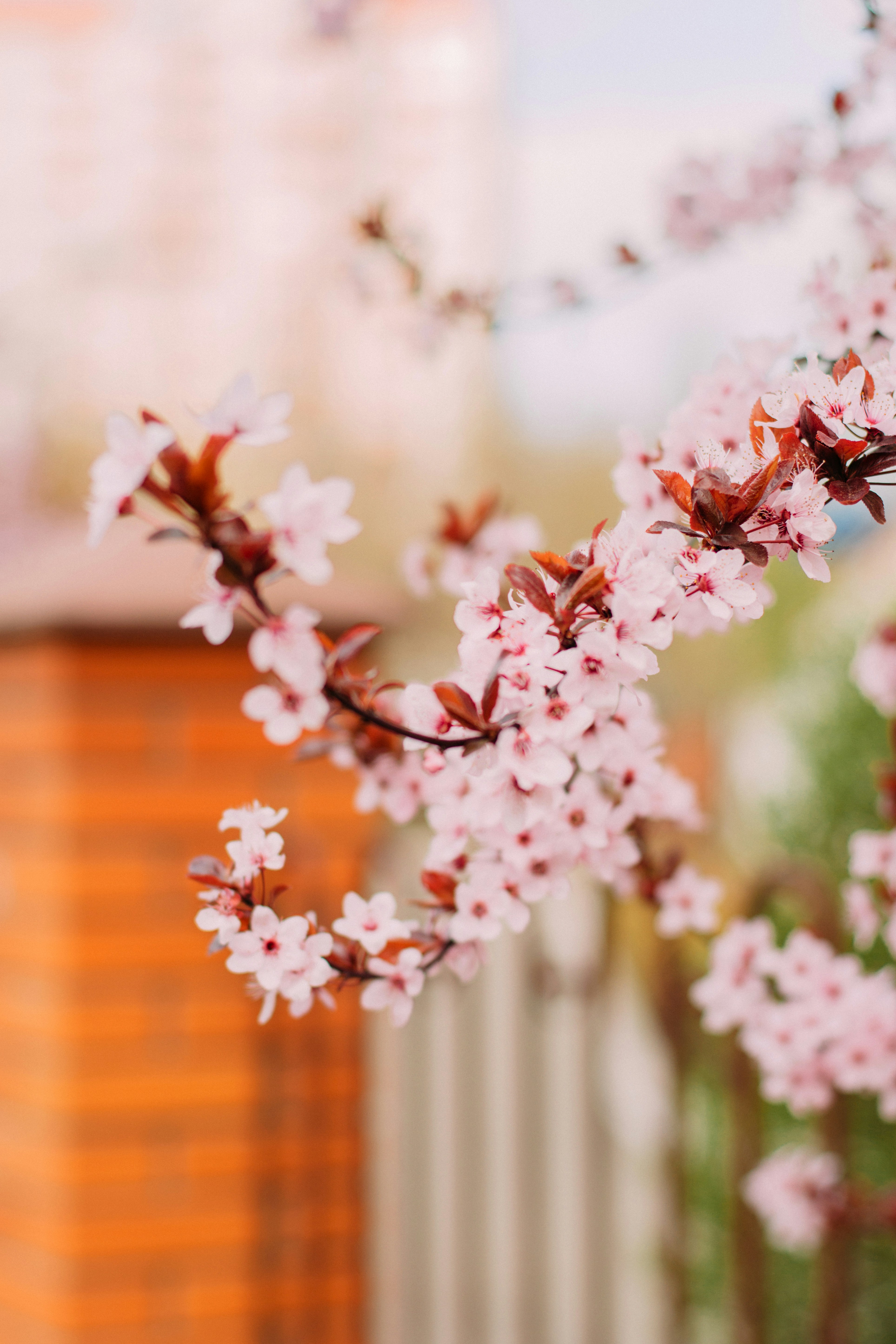 Photo by eugenivy_now