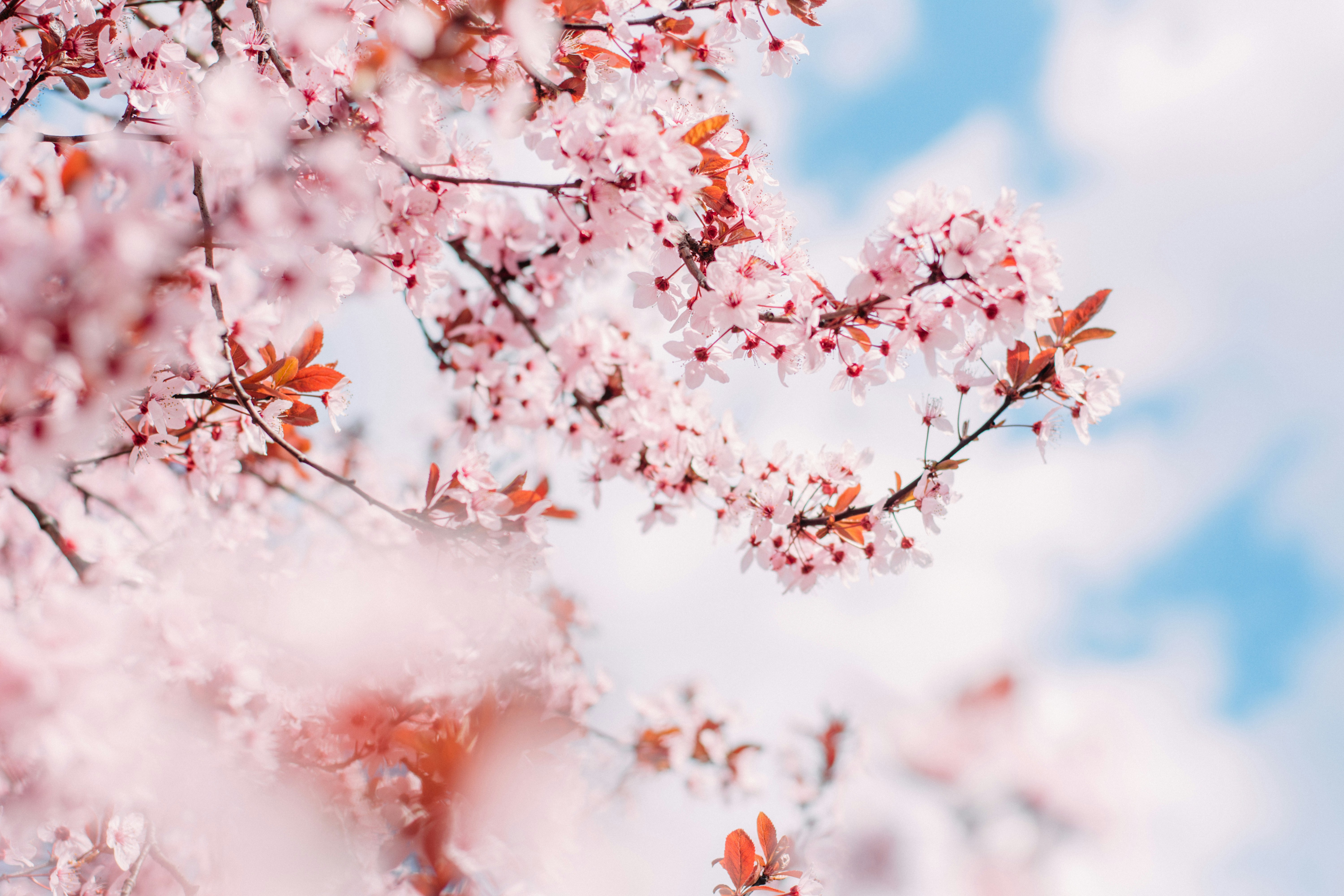 Photo by eugenivy_now