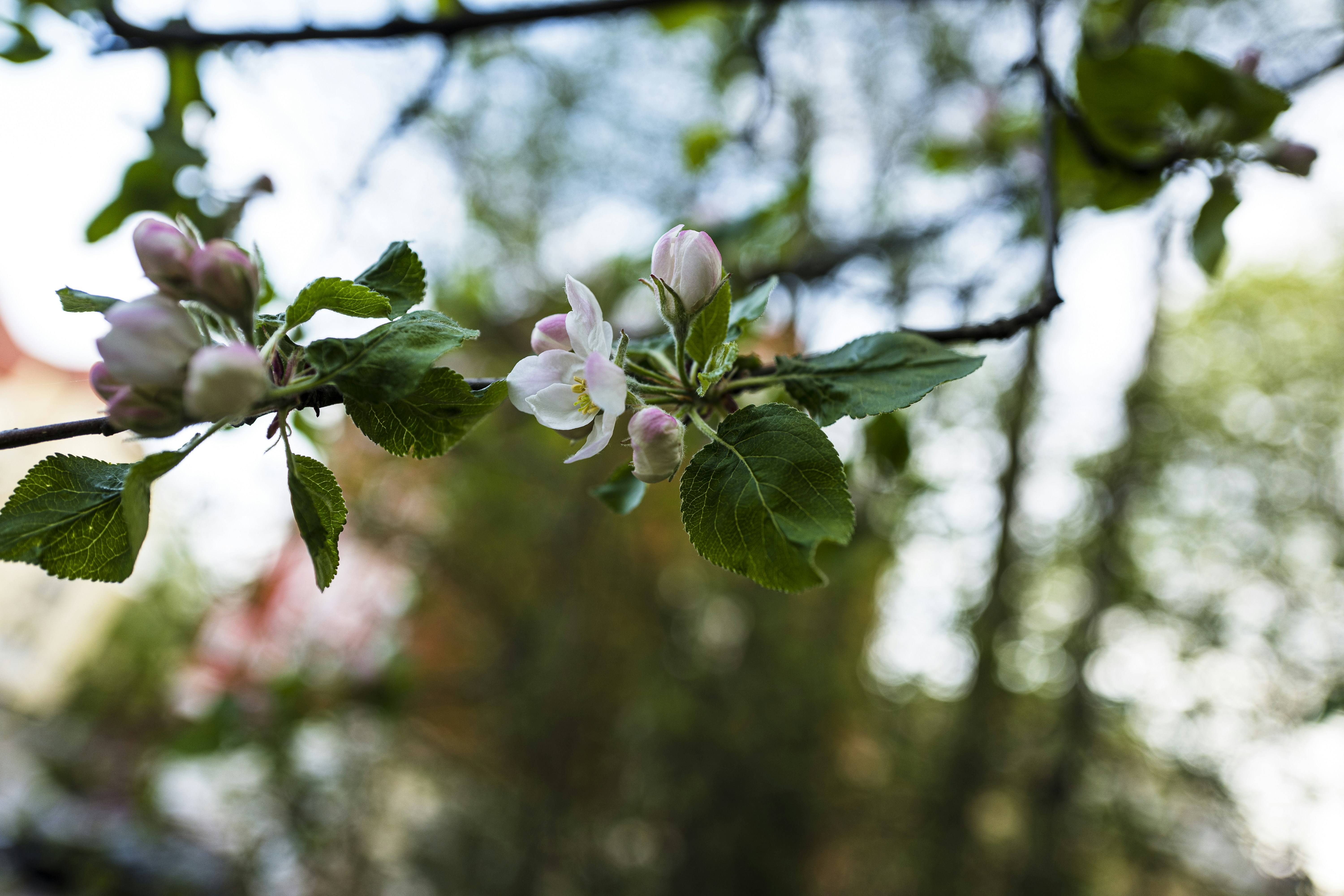 Photo by dieter_muenchen