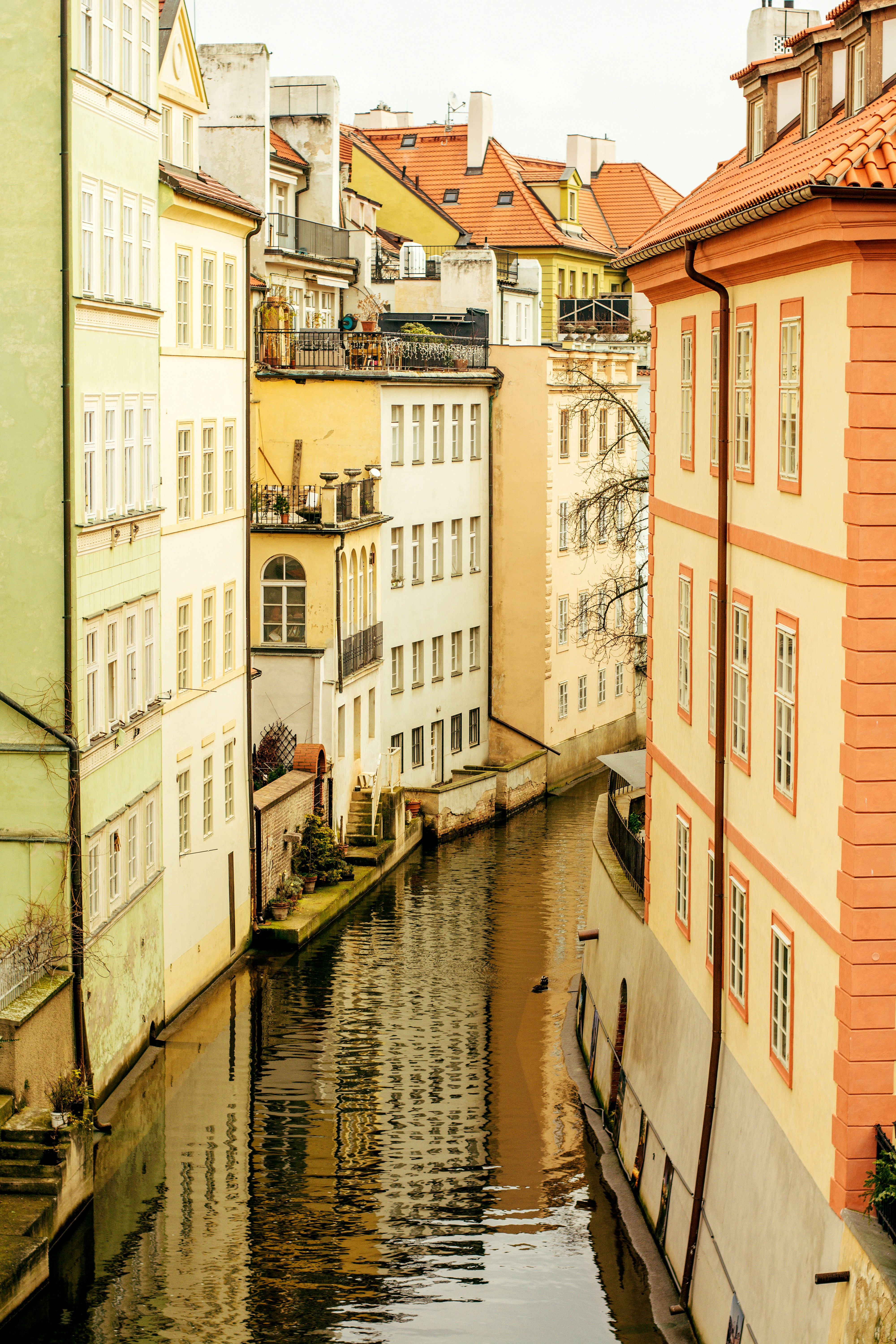 Photo by eugenivy_now