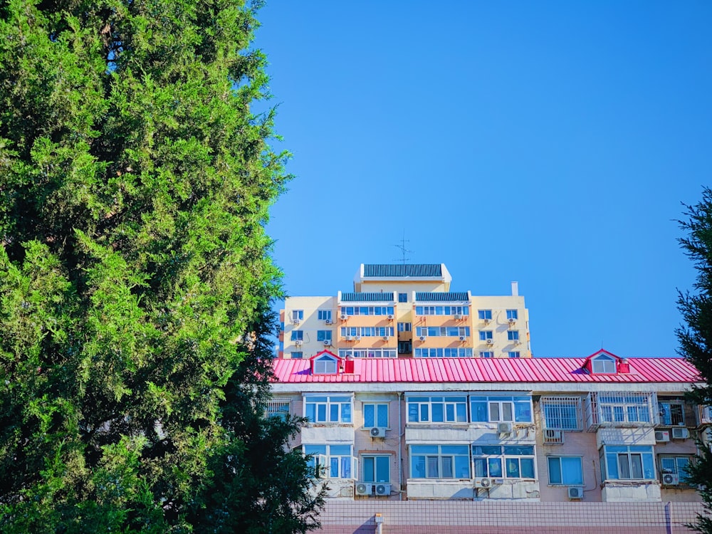 green trees near white and pink concrete building during daytime