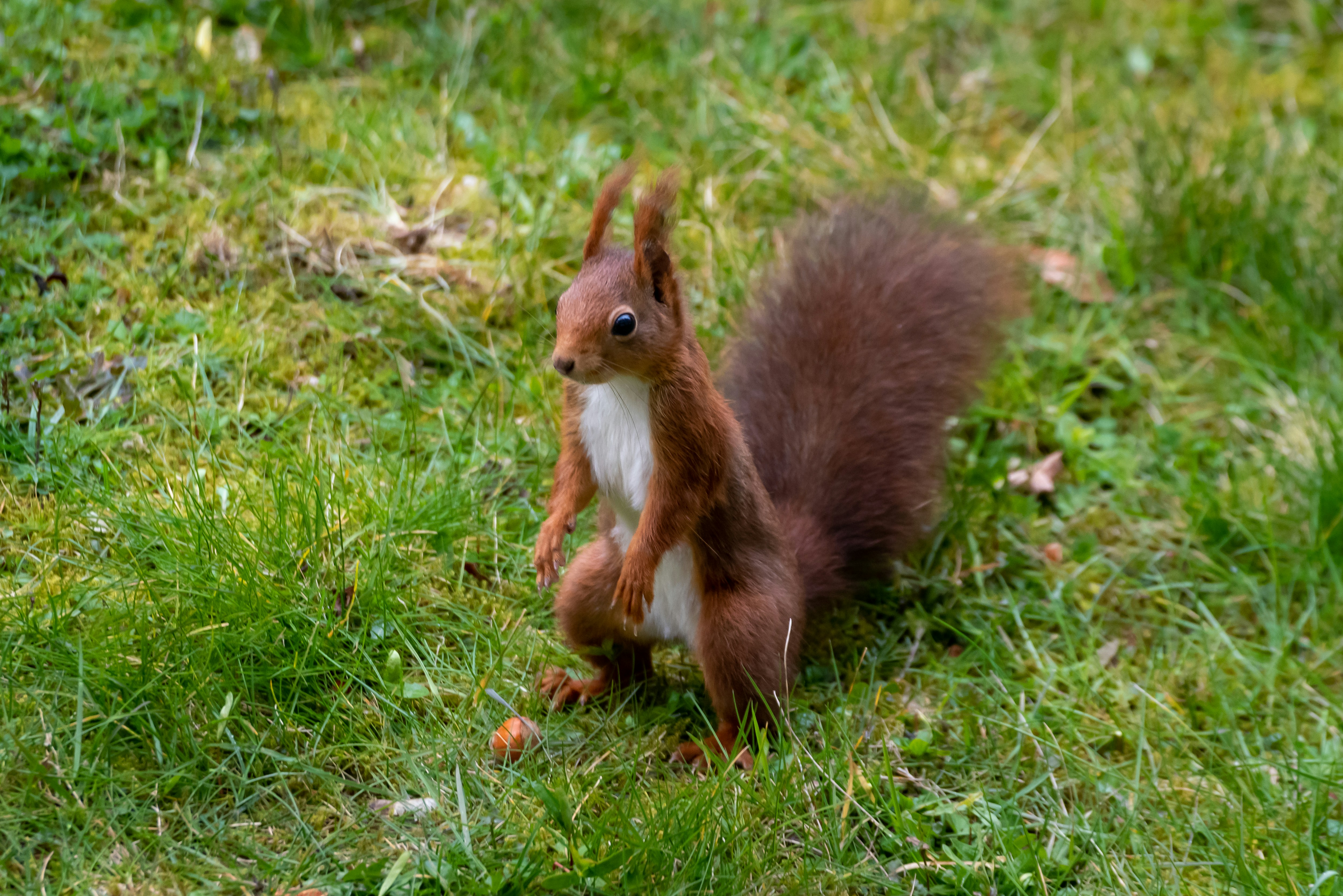 Photo by dudi_dudewitz