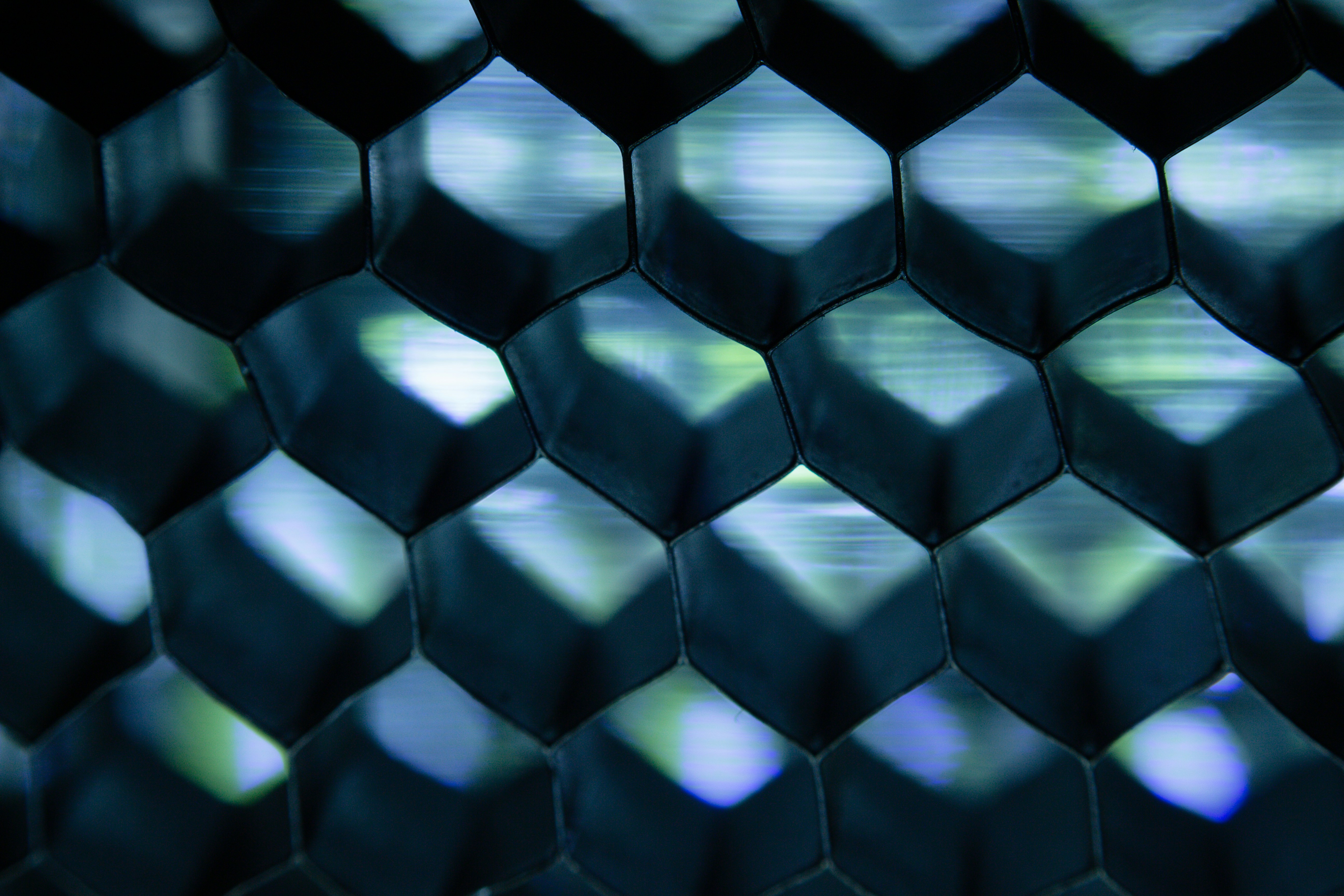 Photo by wildandbeyondbyvivek