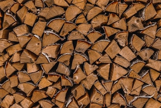 brown dried leaves on ground