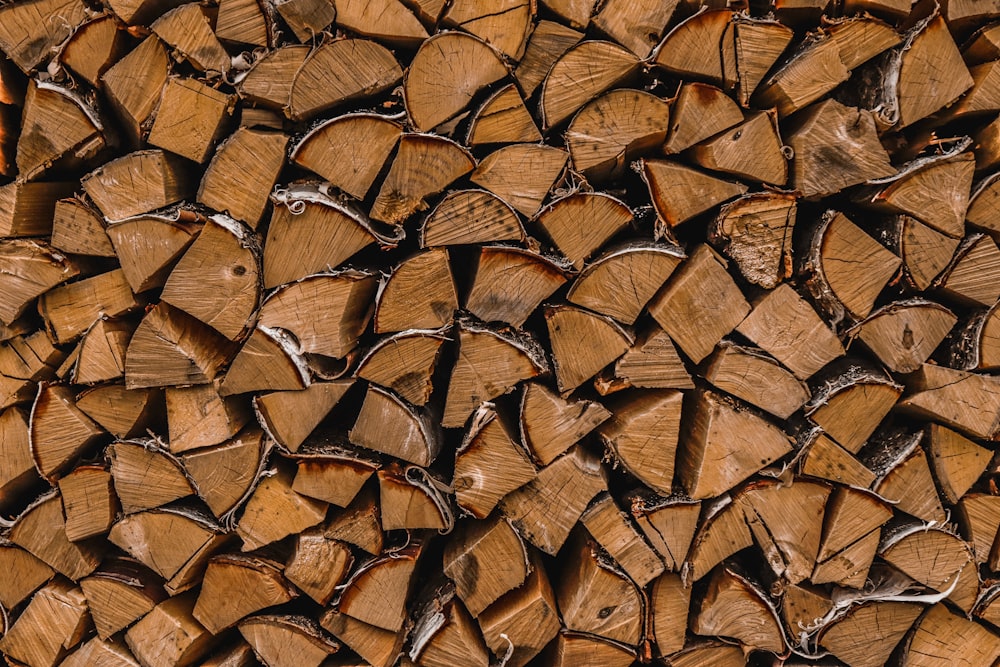 brown dried leaves on ground