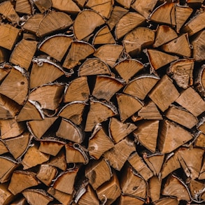 brown dried leaves on ground