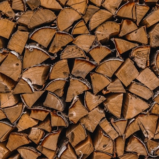 brown dried leaves on ground