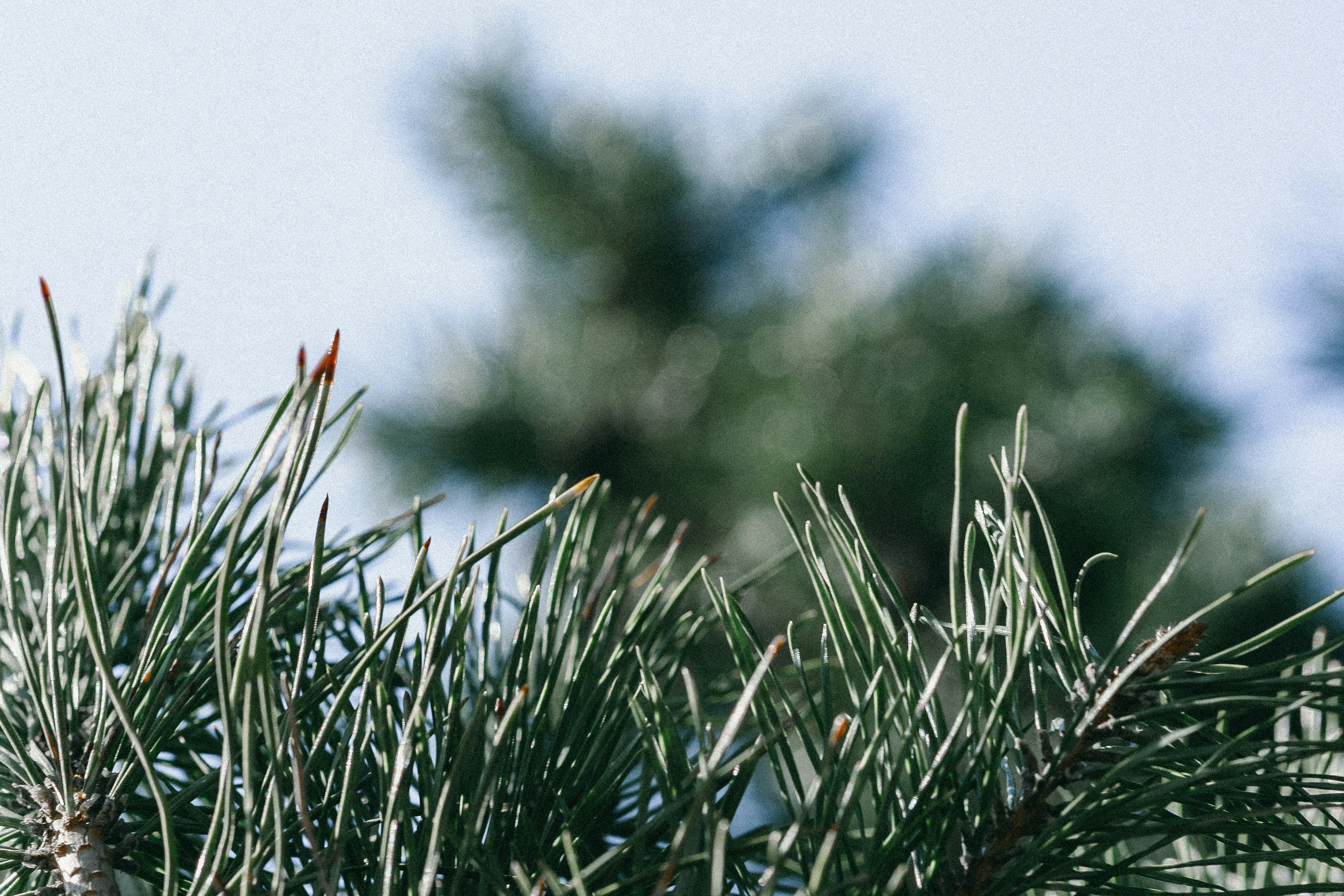 Photo by eugenechystiakov