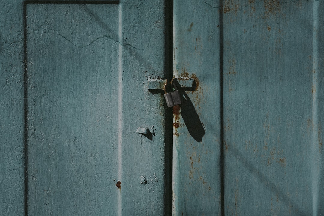 black and brown insect on blue wooden wall