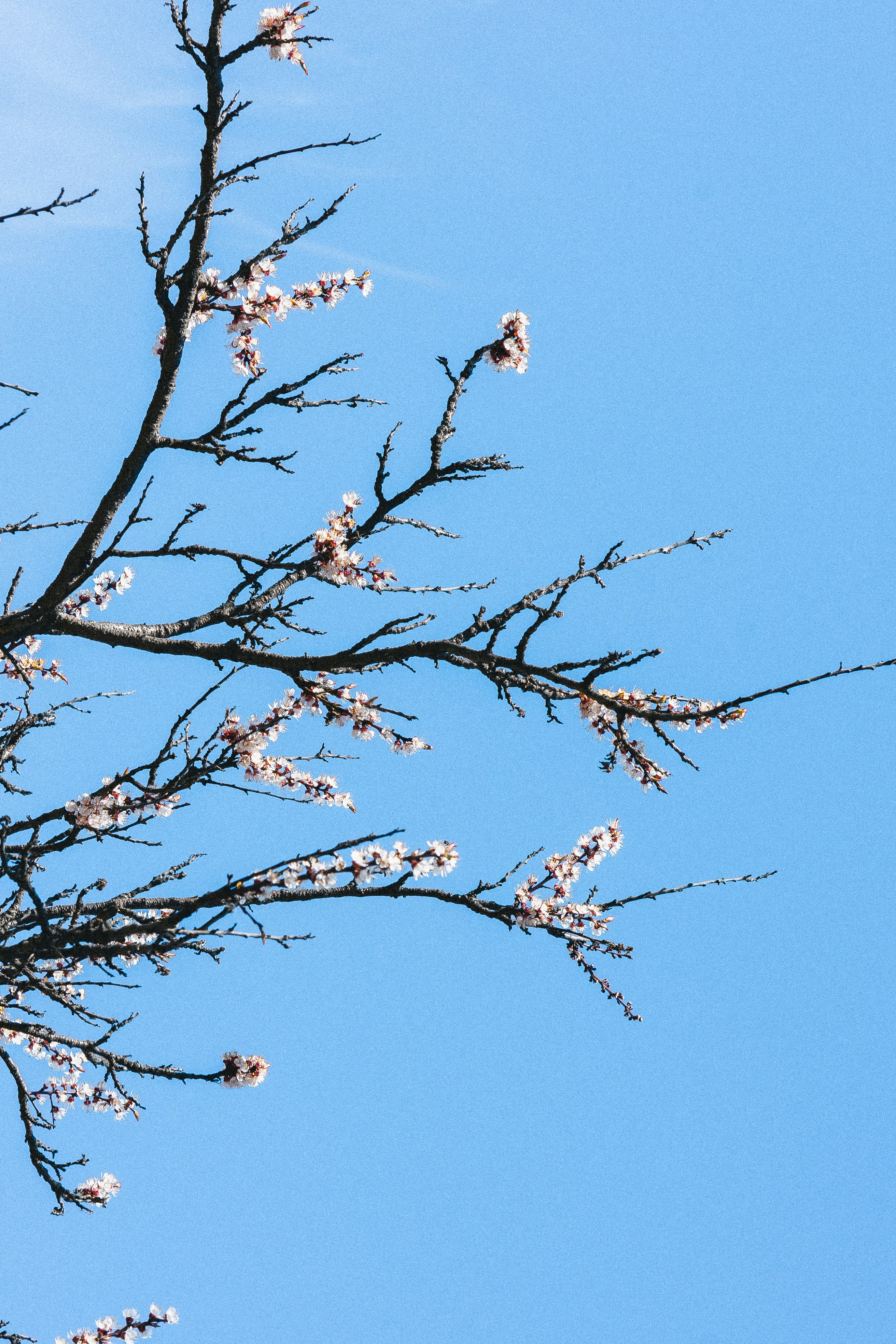 Photo by eugenechystiakov