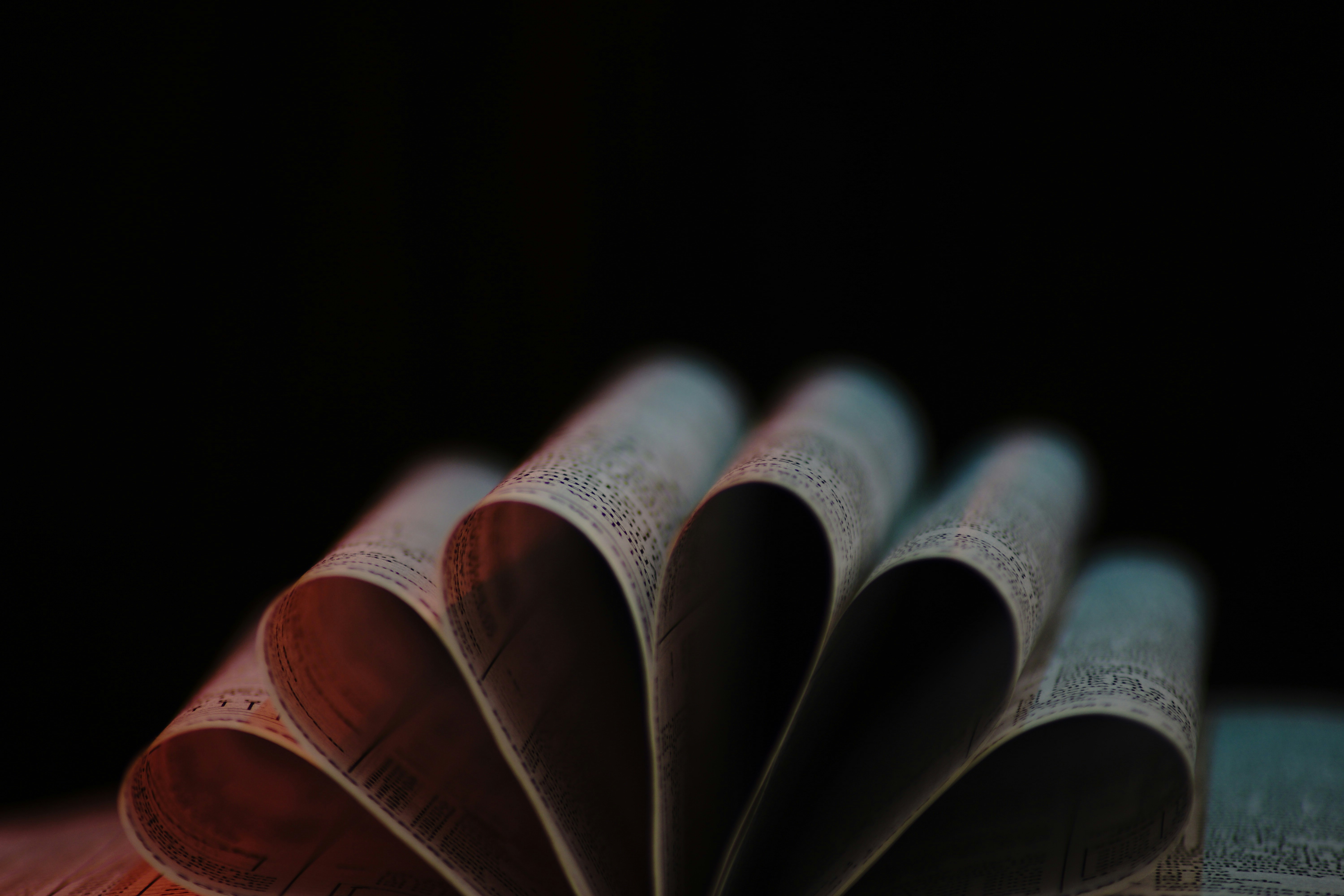 white and brown book page