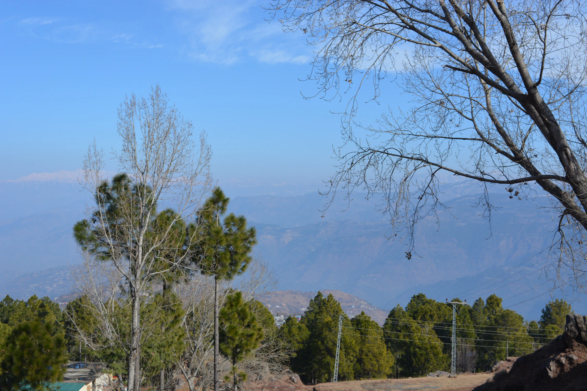 woman wearing yellow long-sleeved dress under white clouds and blue sky during daytime