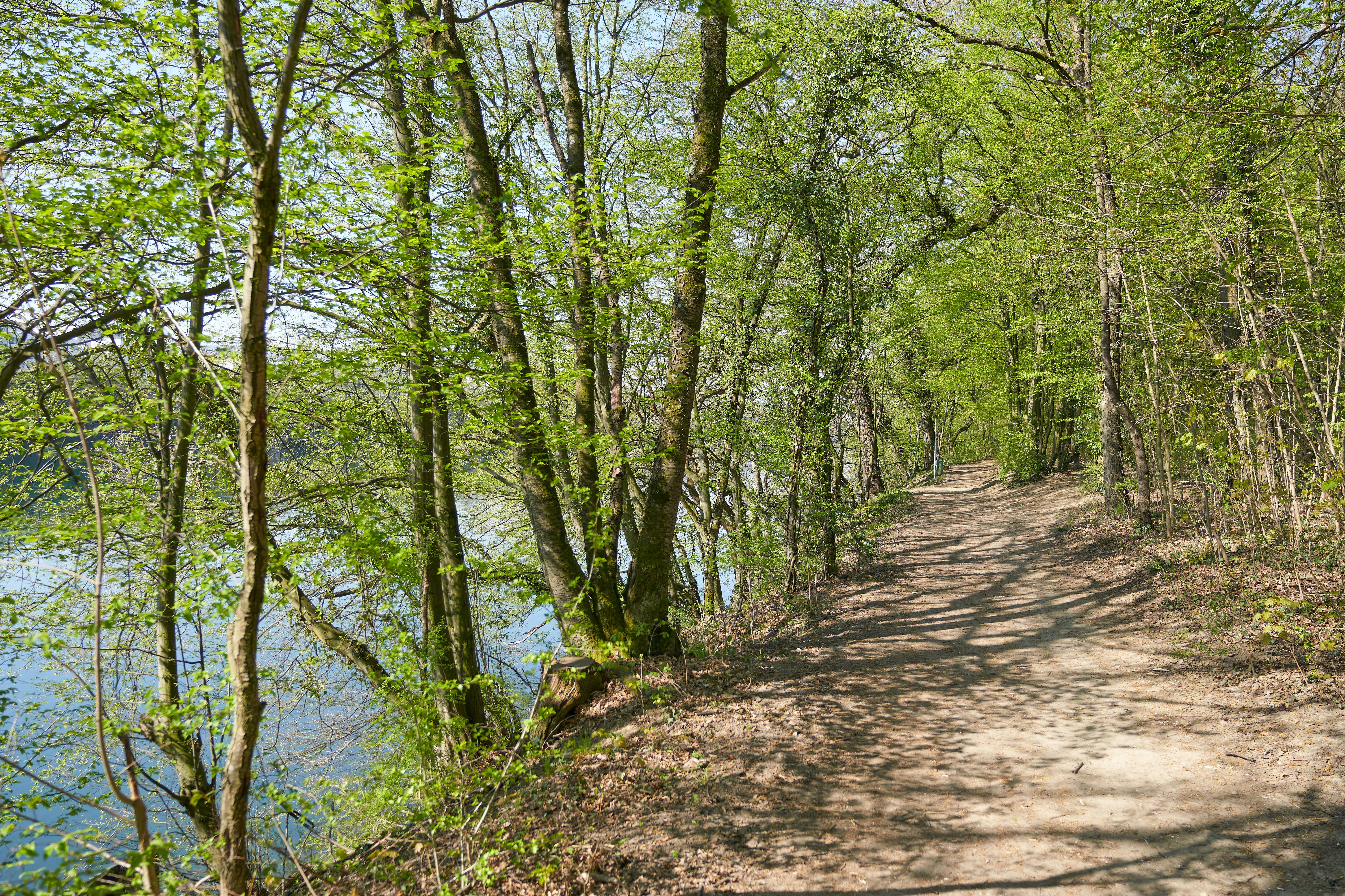 Photo by wolfgang_hasselmann