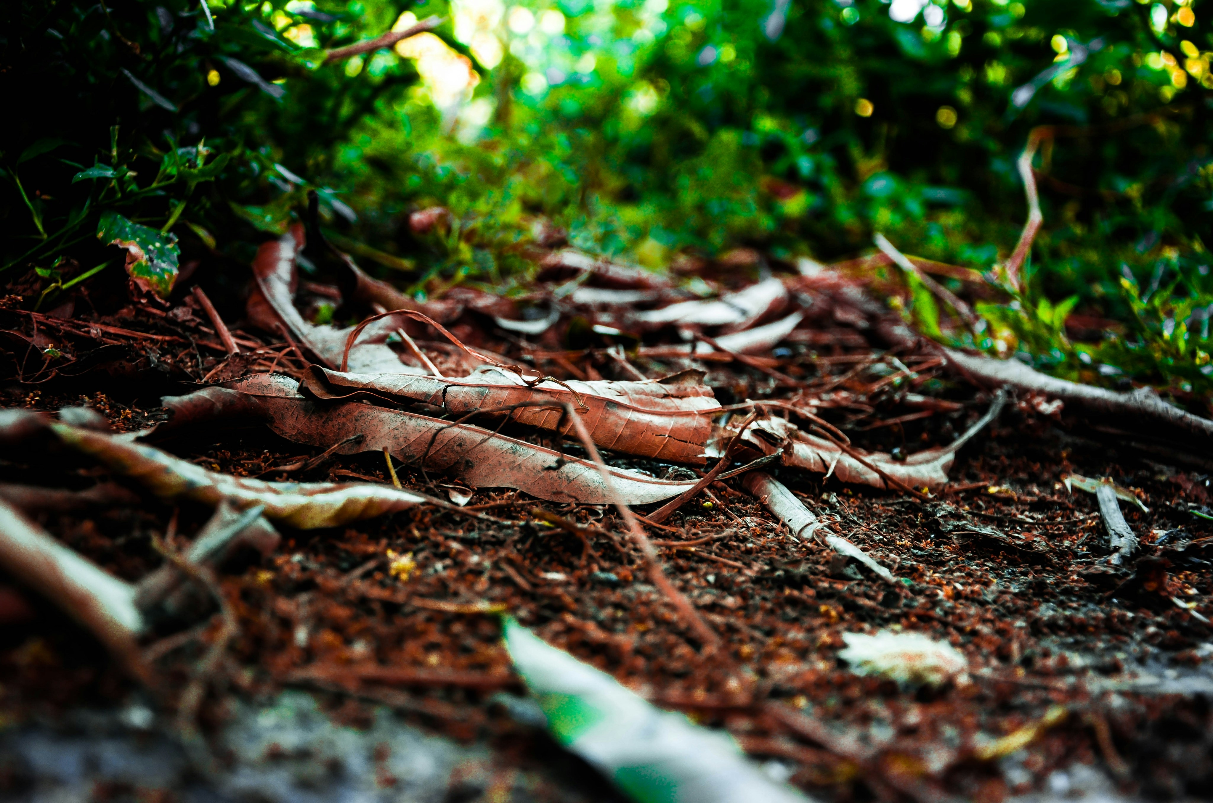 Photo by jatin_punia