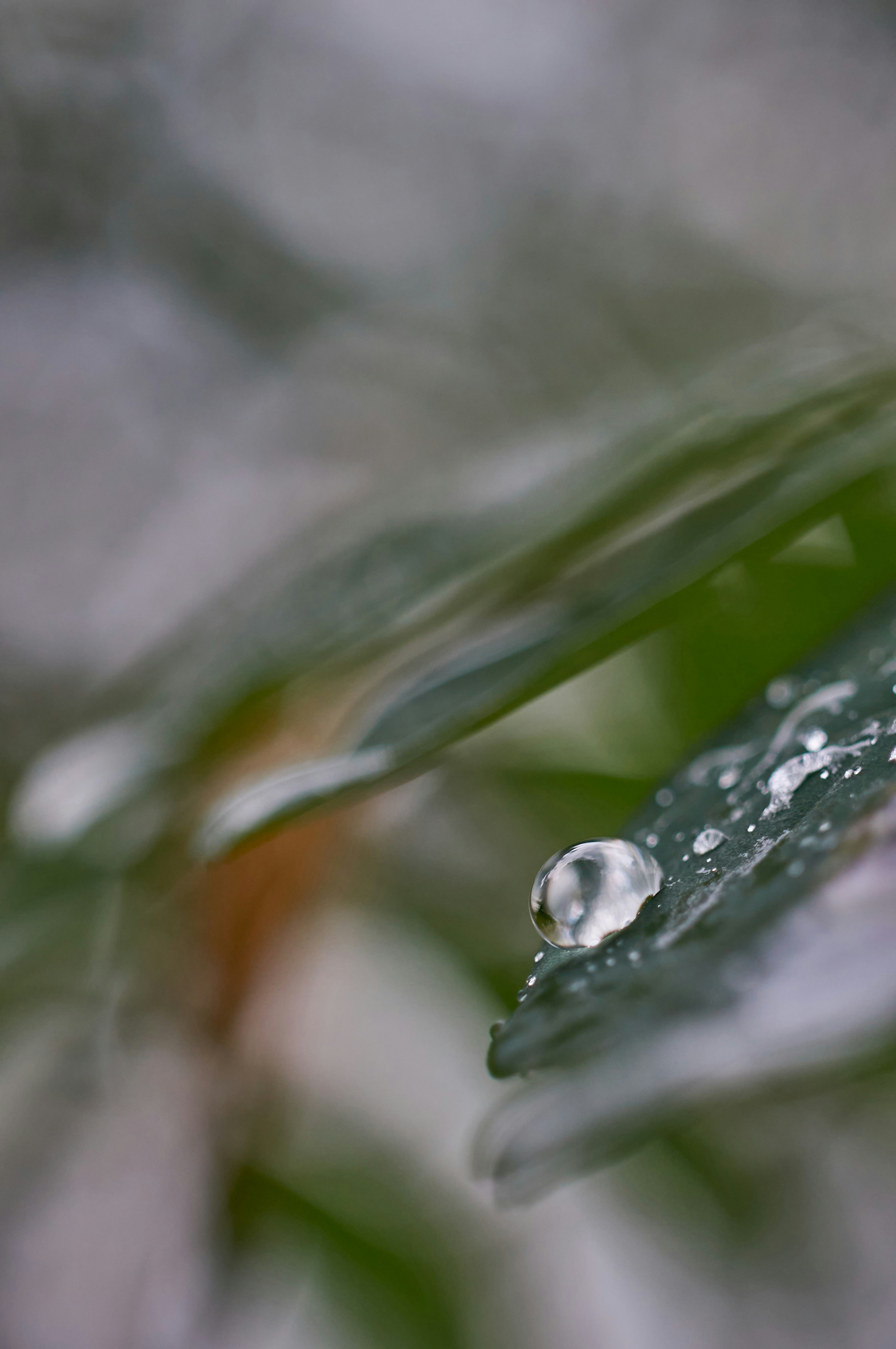 Photo by wolfgang_hasselmann