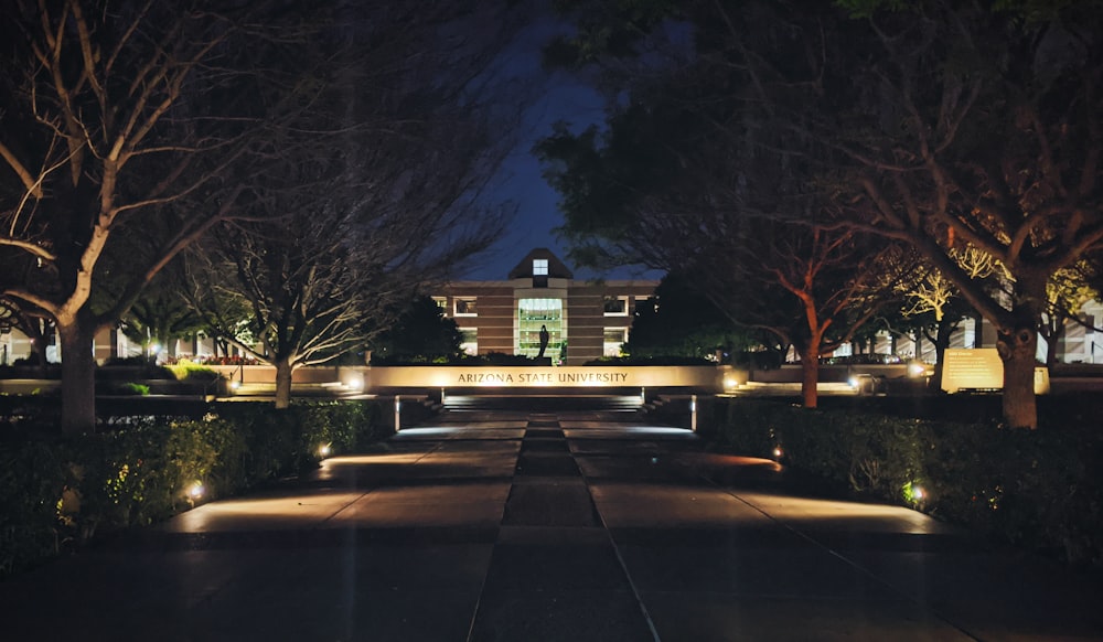 brown bare trees near brown house during night time