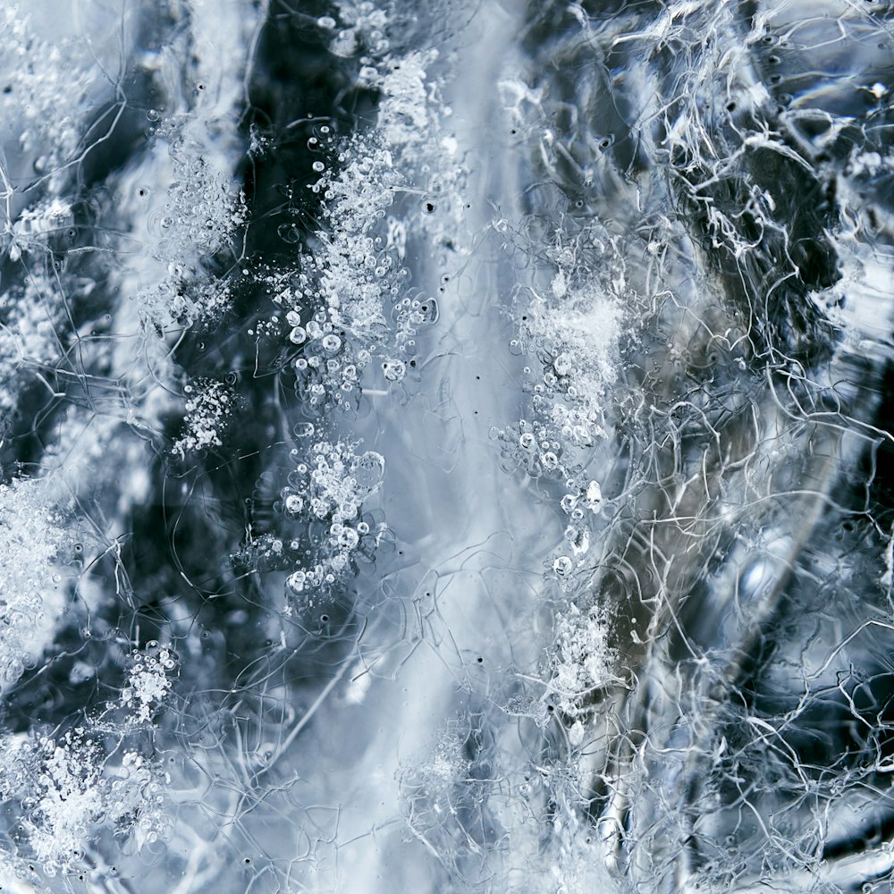 water splash on white background