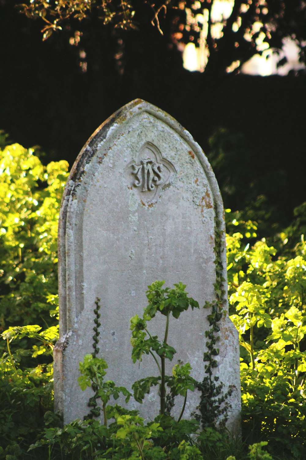 gray concrete cross near yellow flowers during daytime