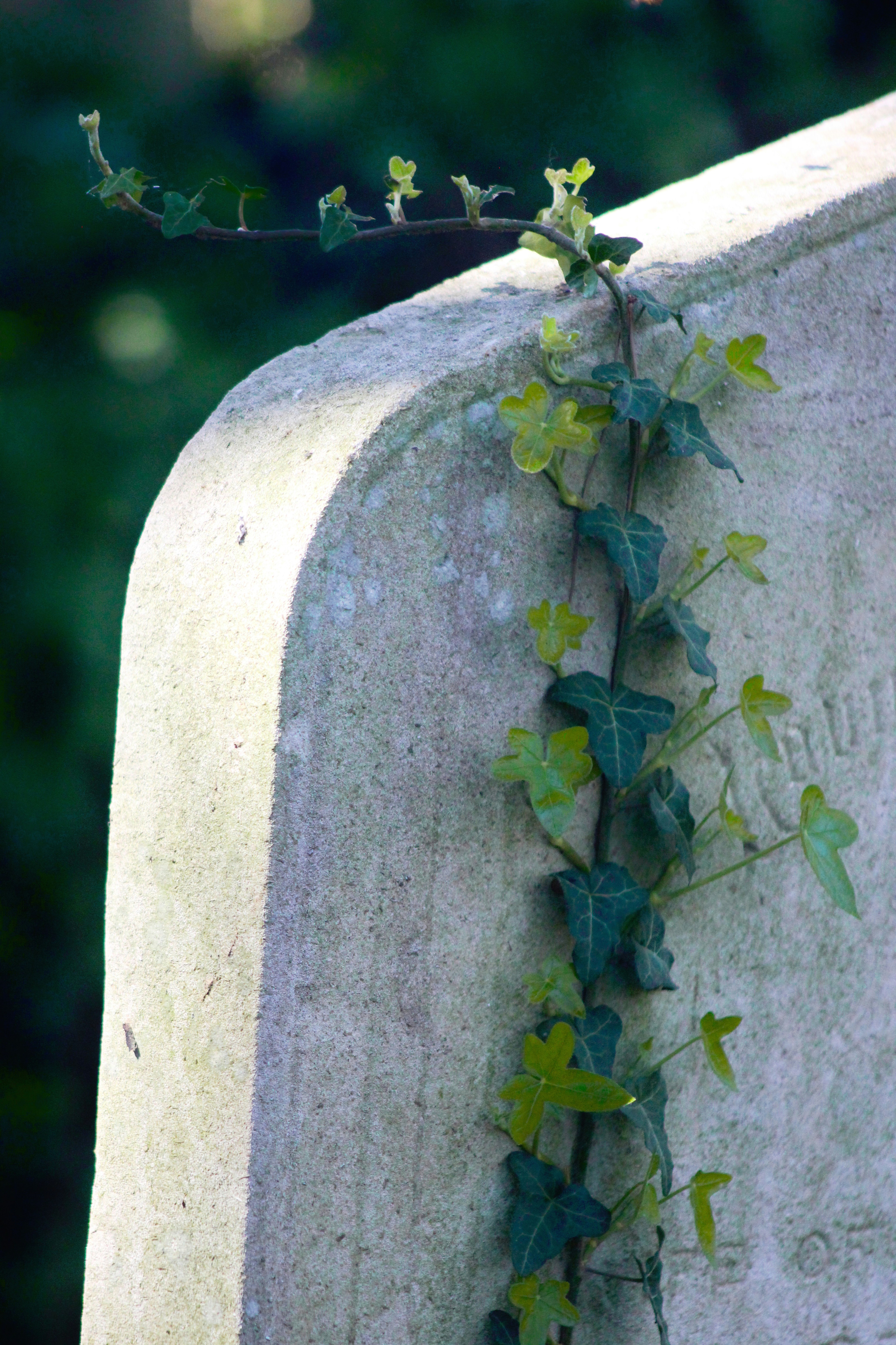 Photo by katiegerrard