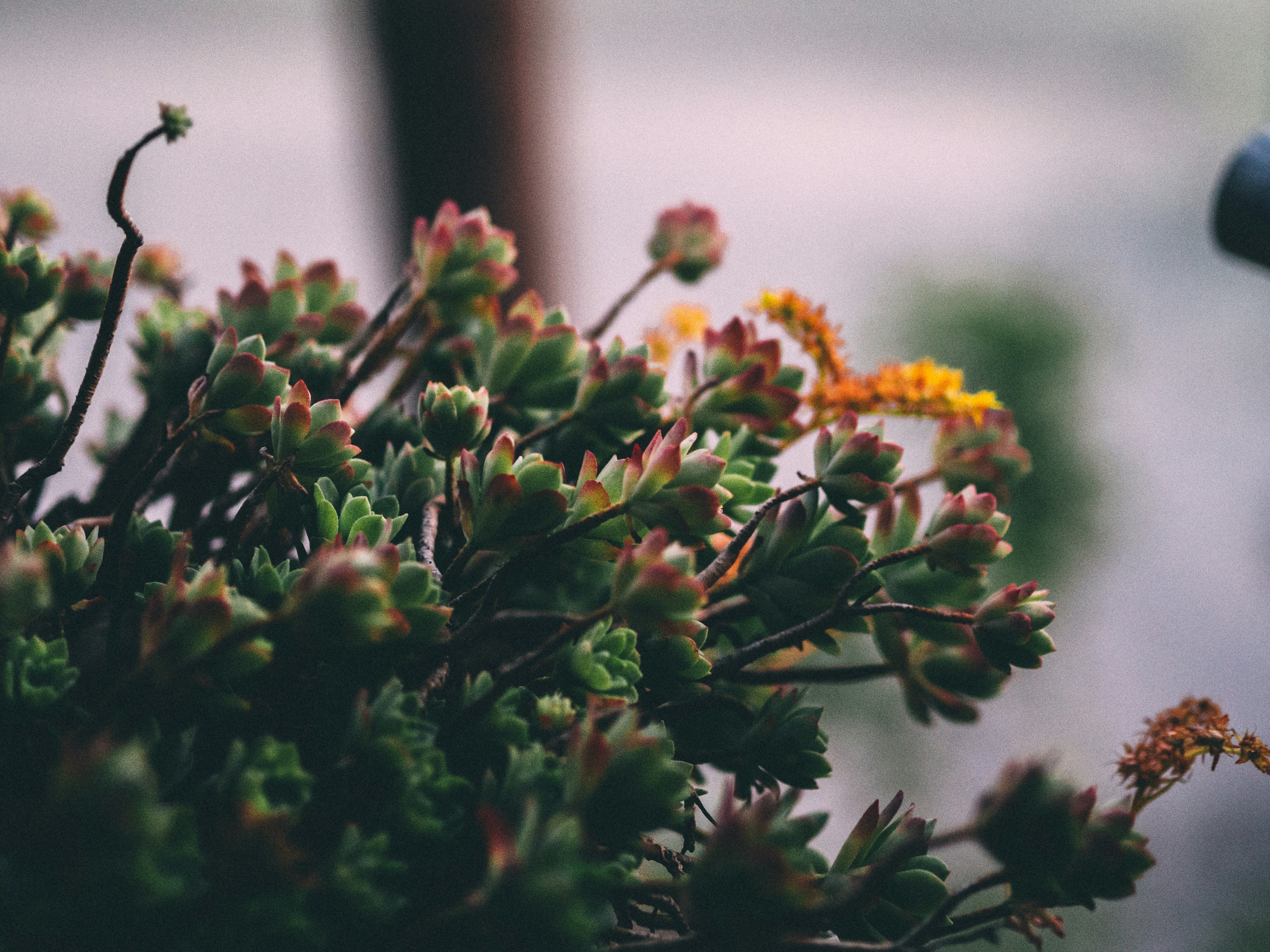 Photo by synesthe2ia