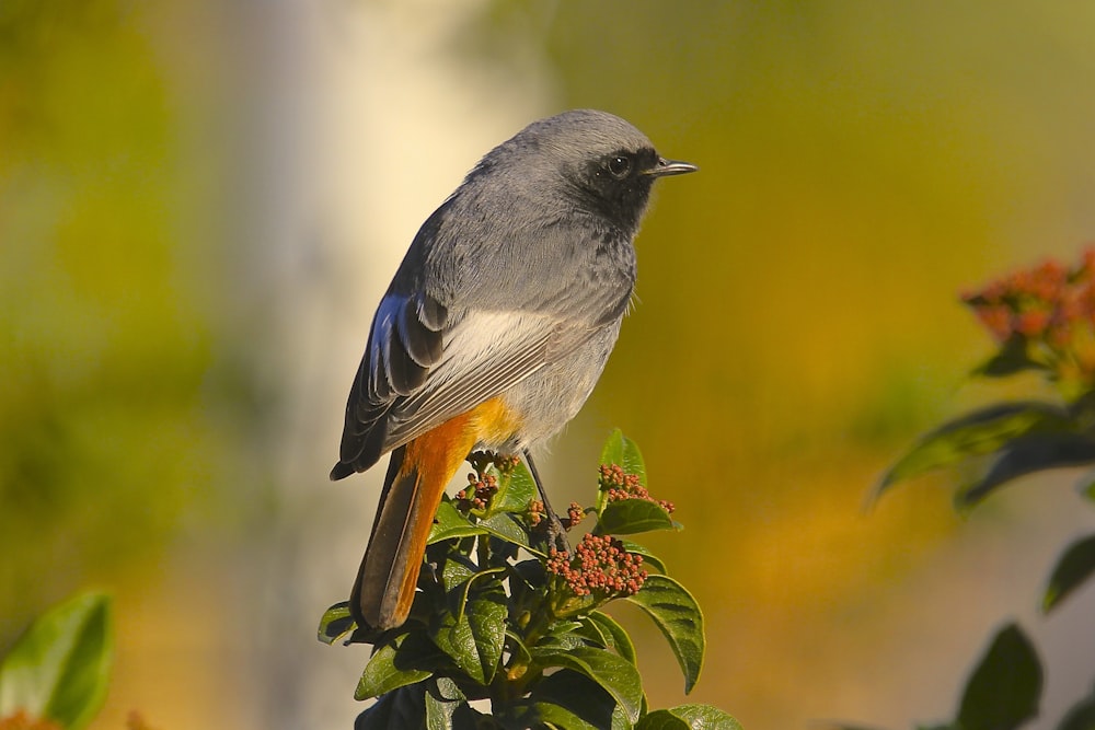 a bird perched on top of a tree branch