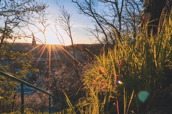 Discovering Evreux: A Local Guide to Hidden Gems
