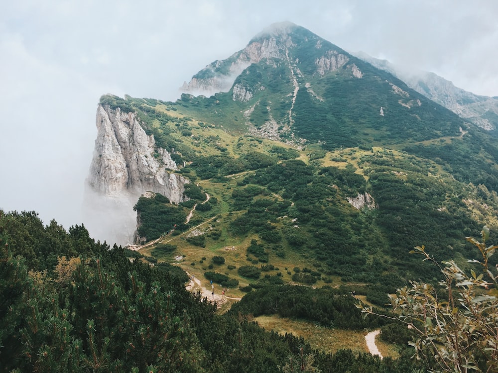 昼間の白い空の下に緑と灰色の山