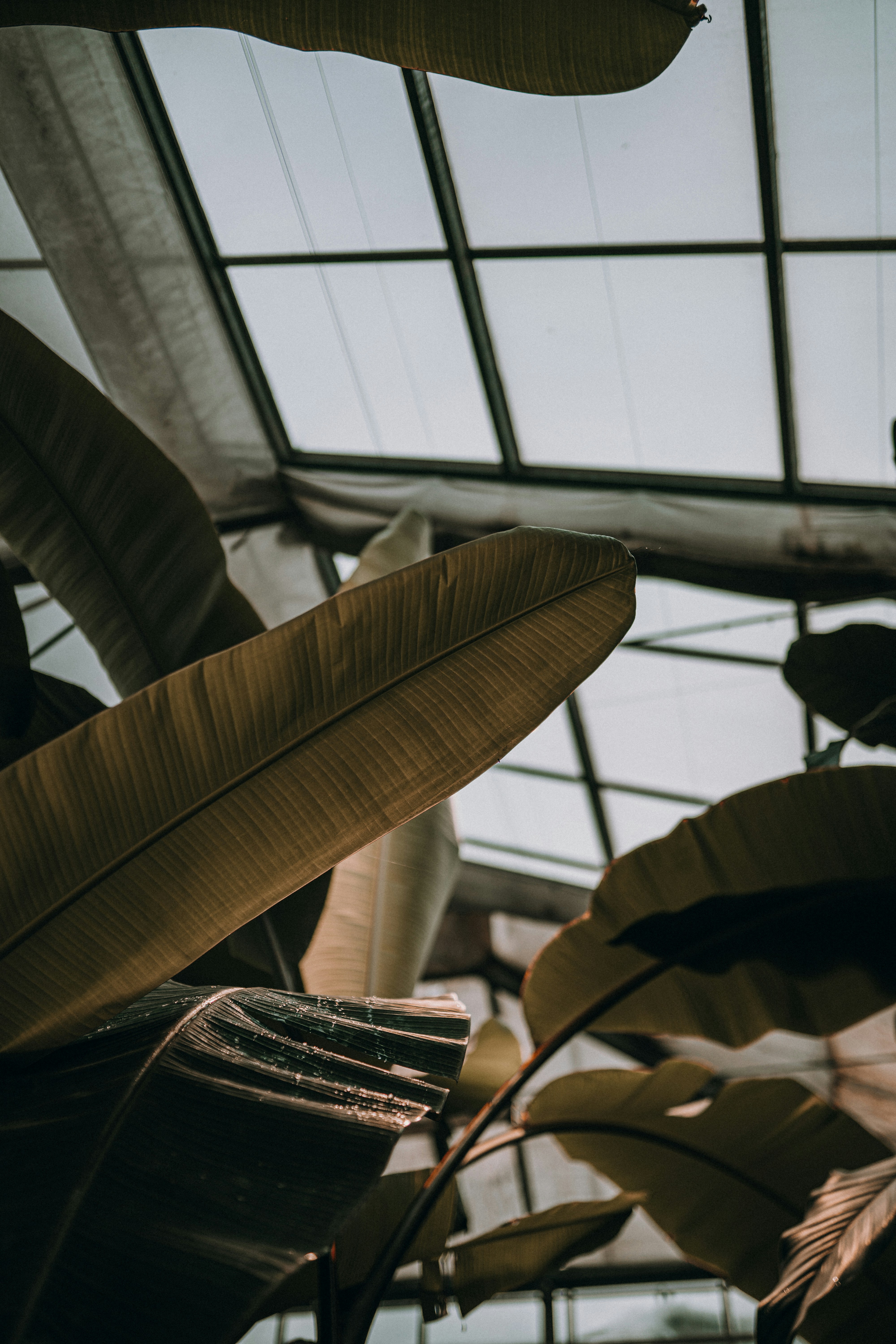 Photo by luiseandnic