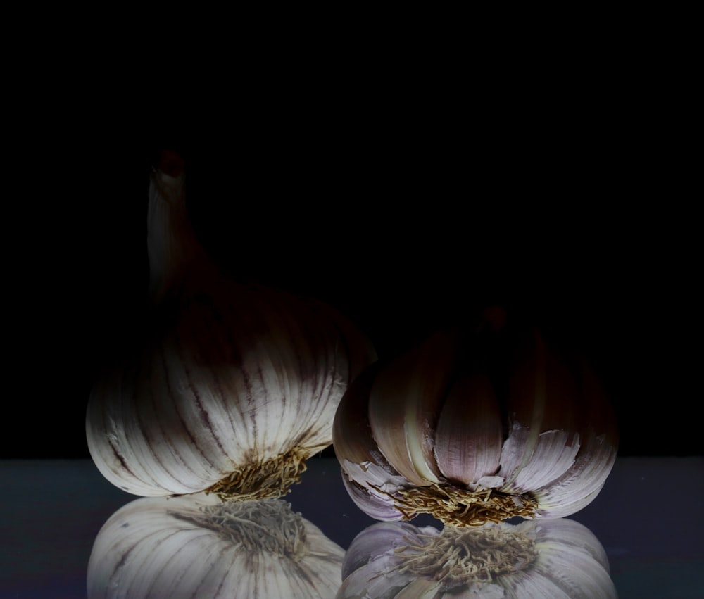 white garlic in black background