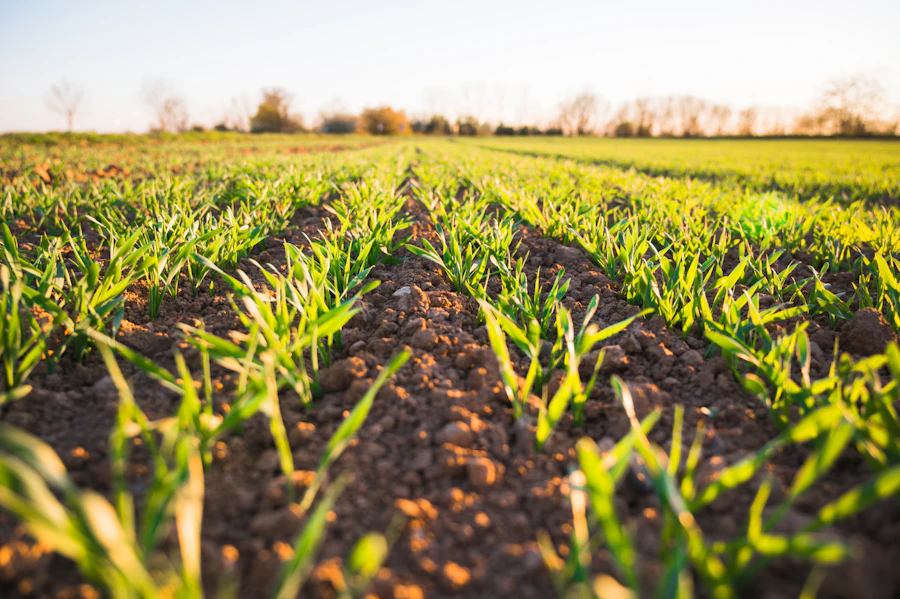 Agricultural drone monitoring Zimbabwe crop fields