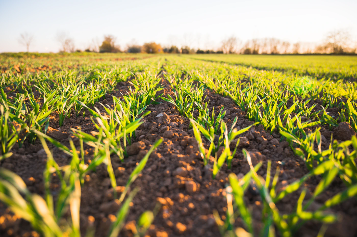 Precision Farming