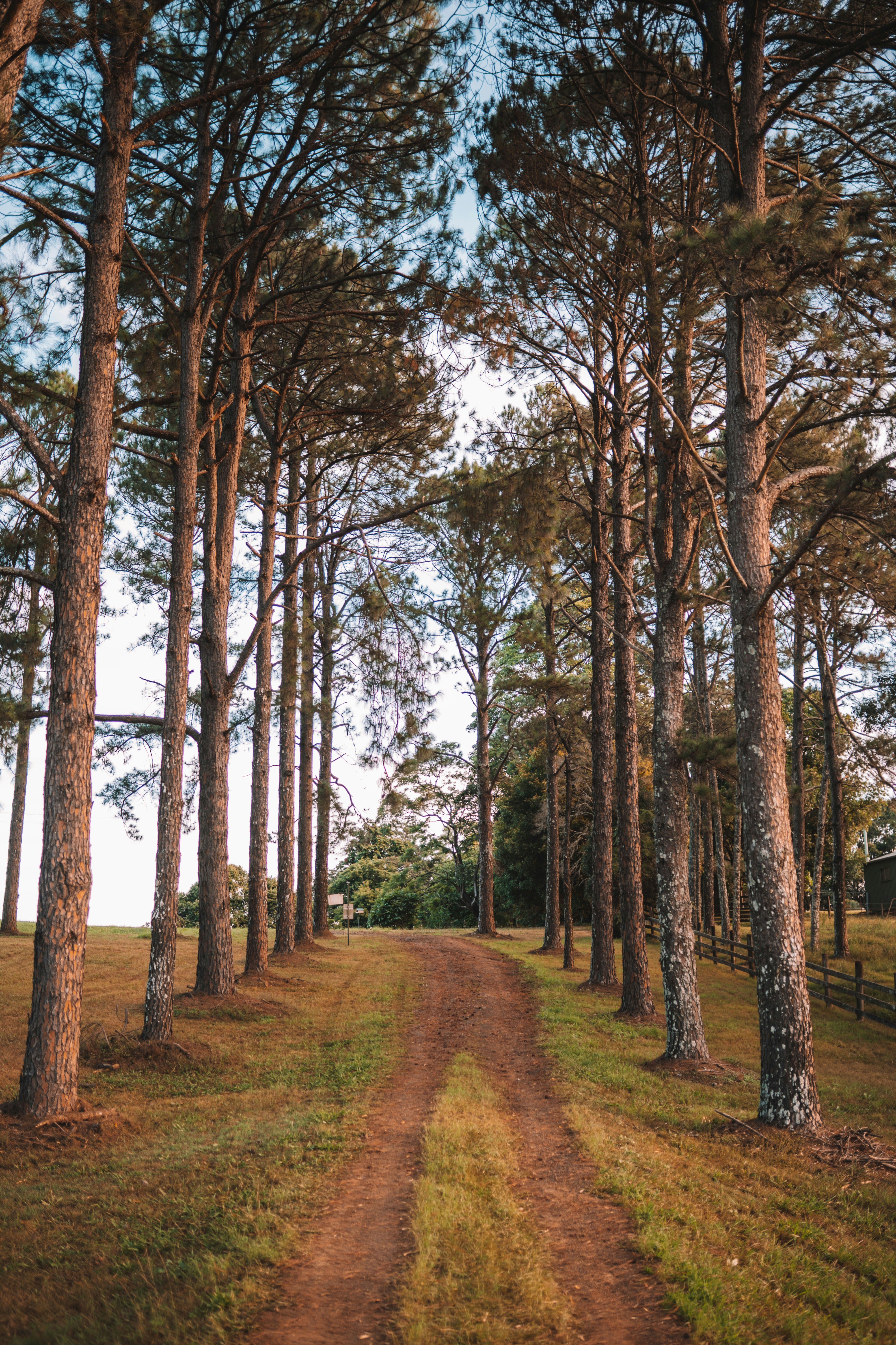 Photo by angus_buchanan