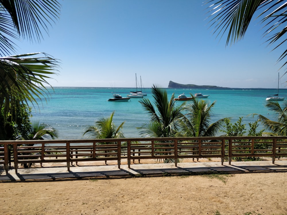 green palm tree near body of water during daytime