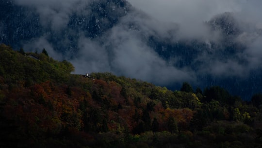 green trees on mountain under white clouds during daytime in Lac d'Annecy France