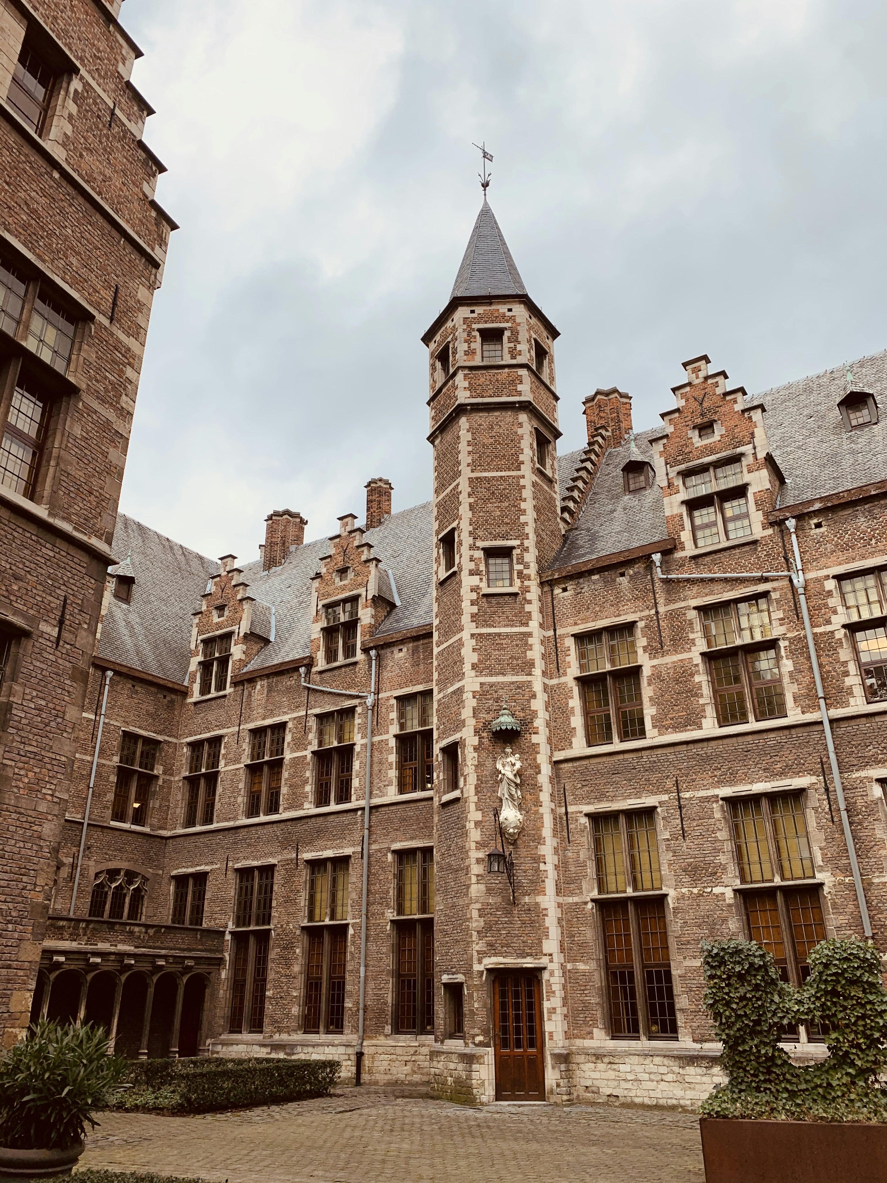 Pursue Excellence: Your Guide to the university of amsterdam international law