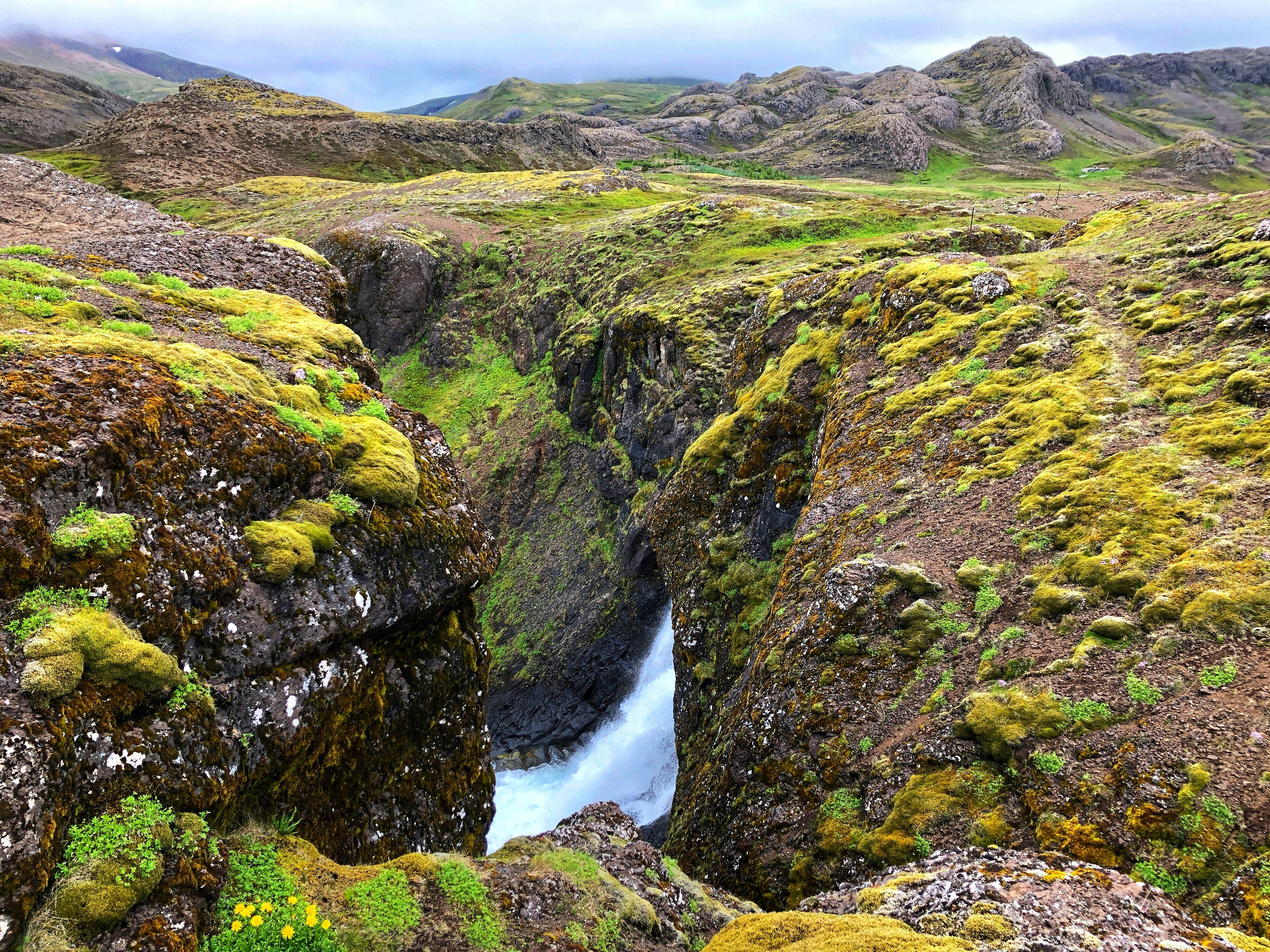 Photo by roberteklund