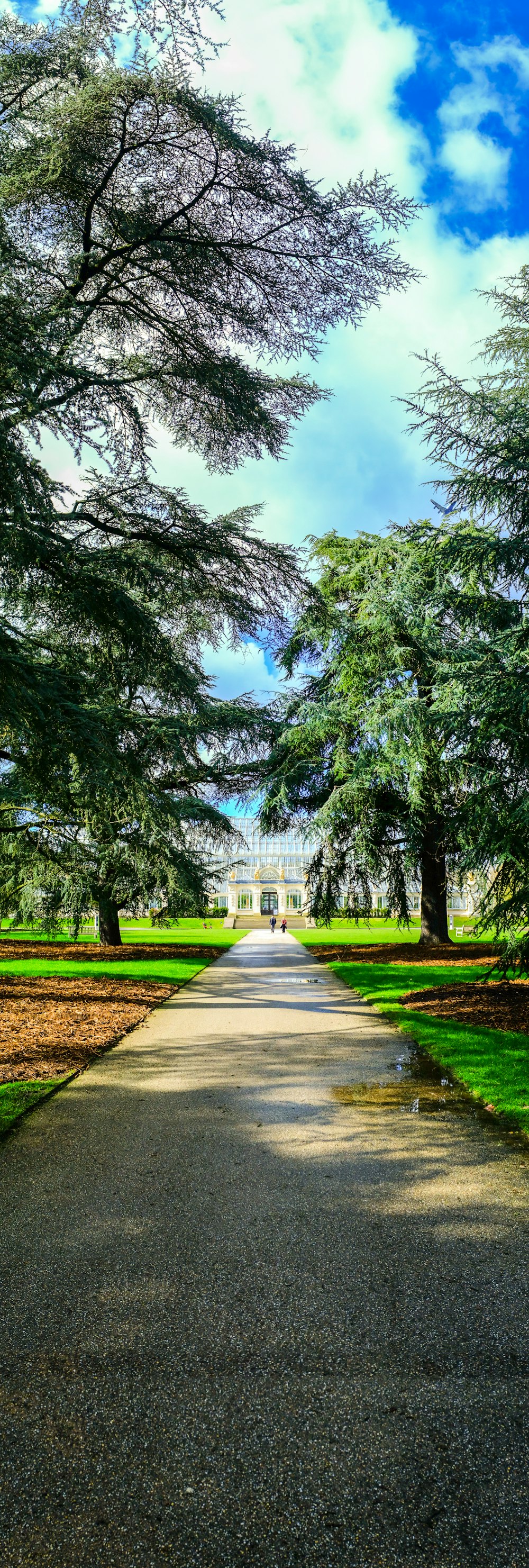 green trees near white building during daytime