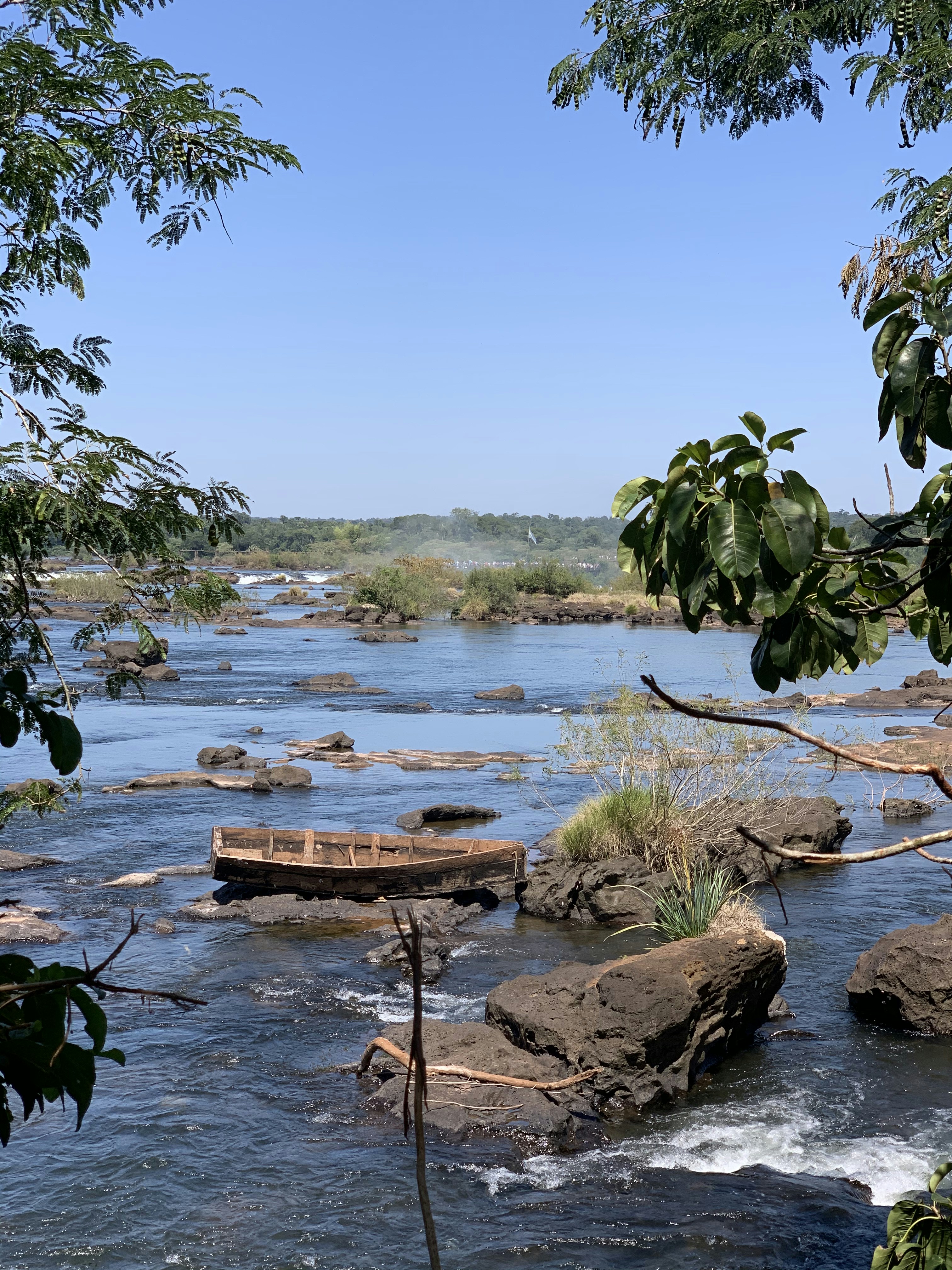 brown wooden log on body of water during daytime