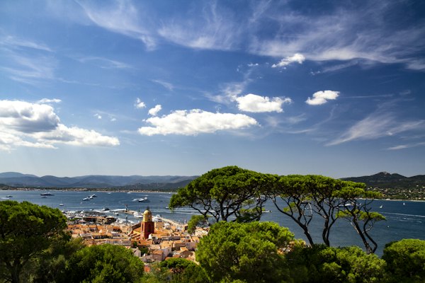 Umbrella pines above the gulf — Saint-Tropez, France